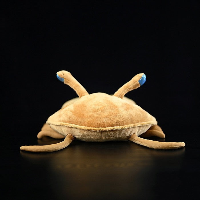 Paleontology Trilobite Plush Toy
