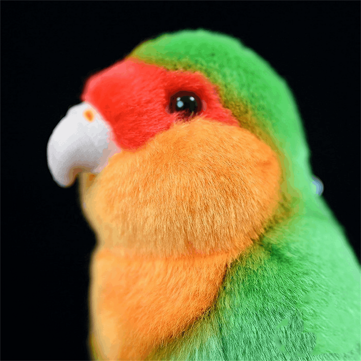 Peony Parrot Plush Toy
