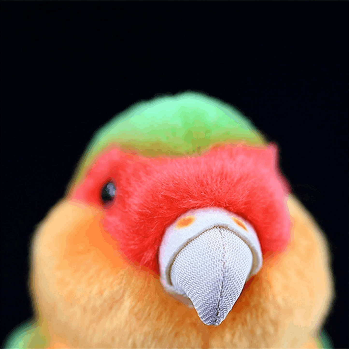 Peony Parrot Plush Toy