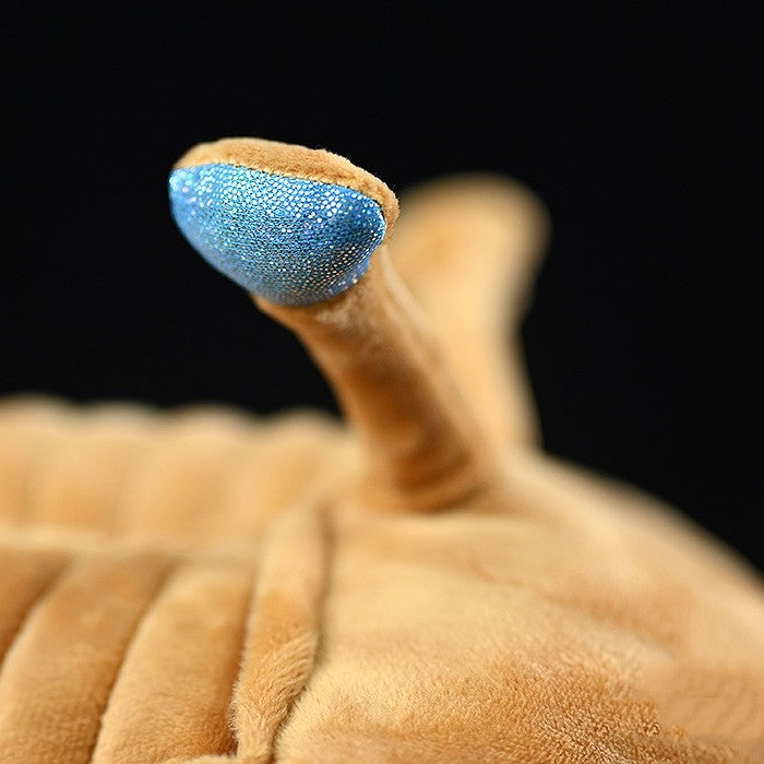 Paleontology Trilobite Plush Toy