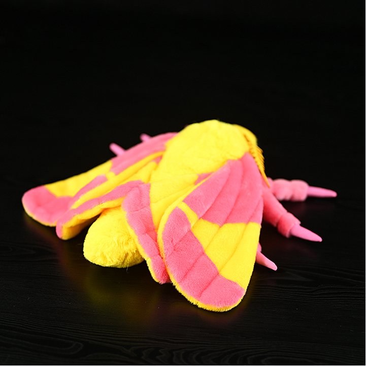 Realistic Moth Plush-Paleontology Moth Plush Toy