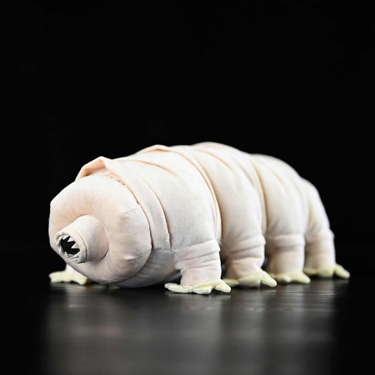 Plush toy a tardigrade on a black background