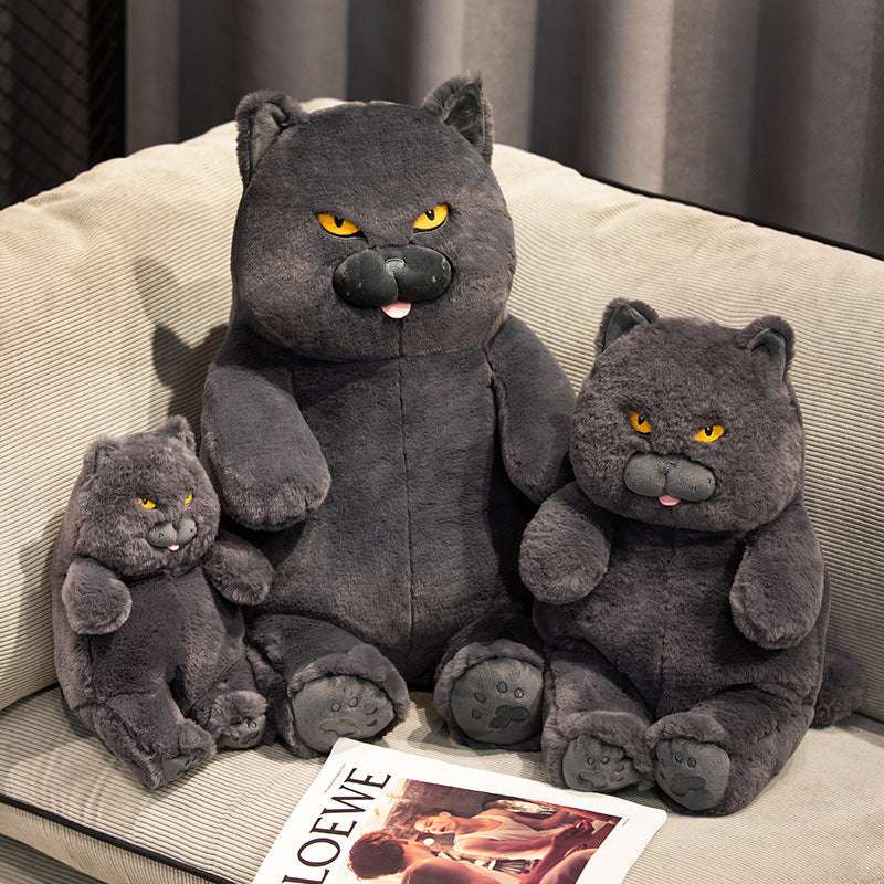 Milo the Perkie Cat Plush Toy