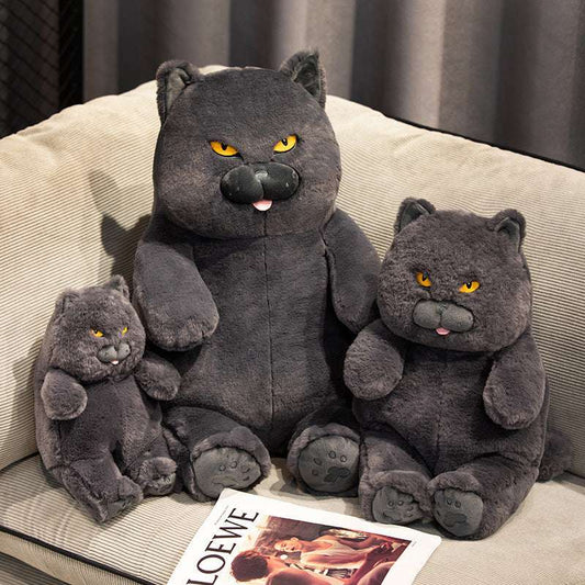 Milo the Perkie Cat Plush Toy