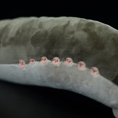 Lamprey Eel Plush Toy