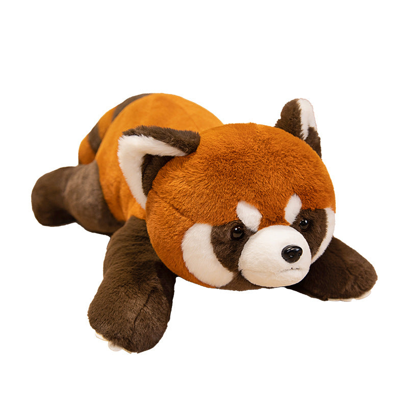 Coati Doll Plush Toys Cute