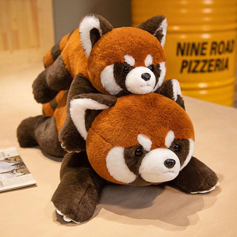 Coati Doll Plush Toys Cute