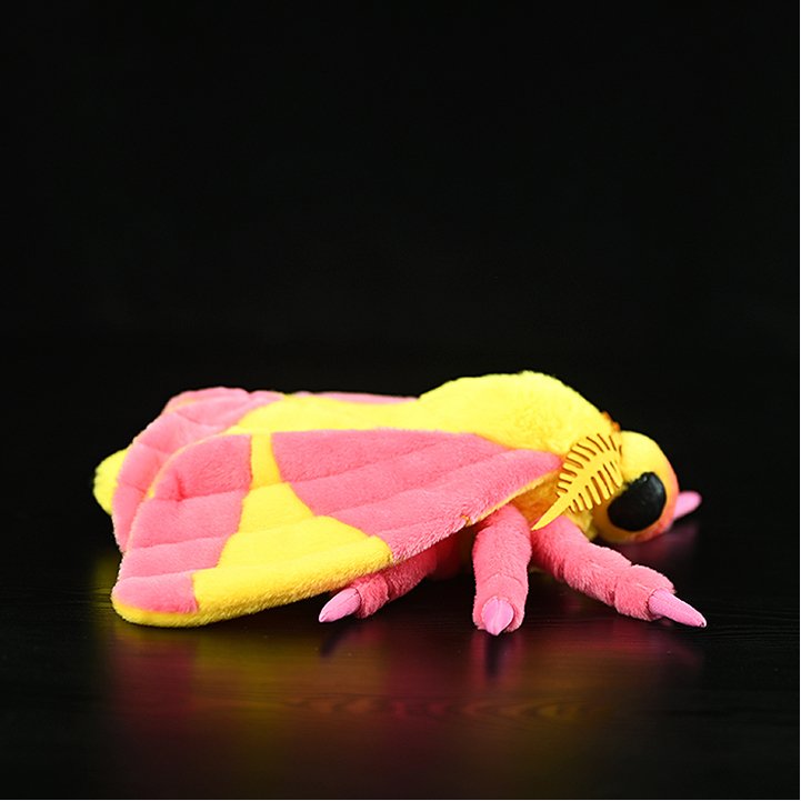 Realistic Moth Plush-Paleontology Moth Plush Toy