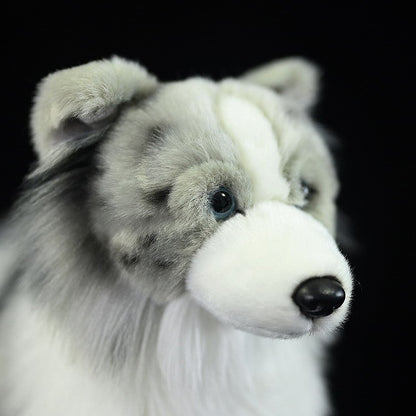 Border Collie Plush Toy