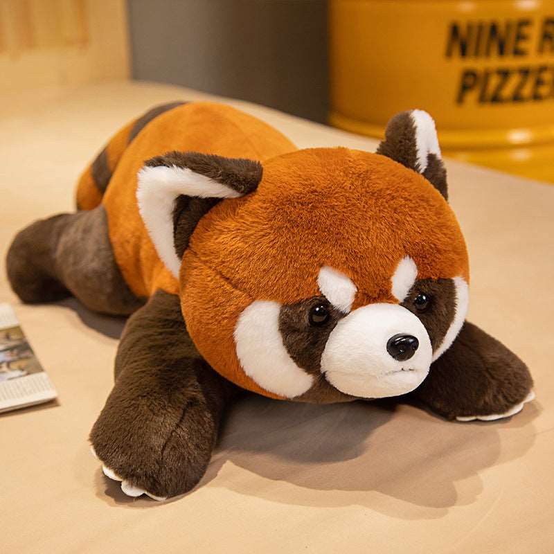 Coati Doll Plush Toys Cute