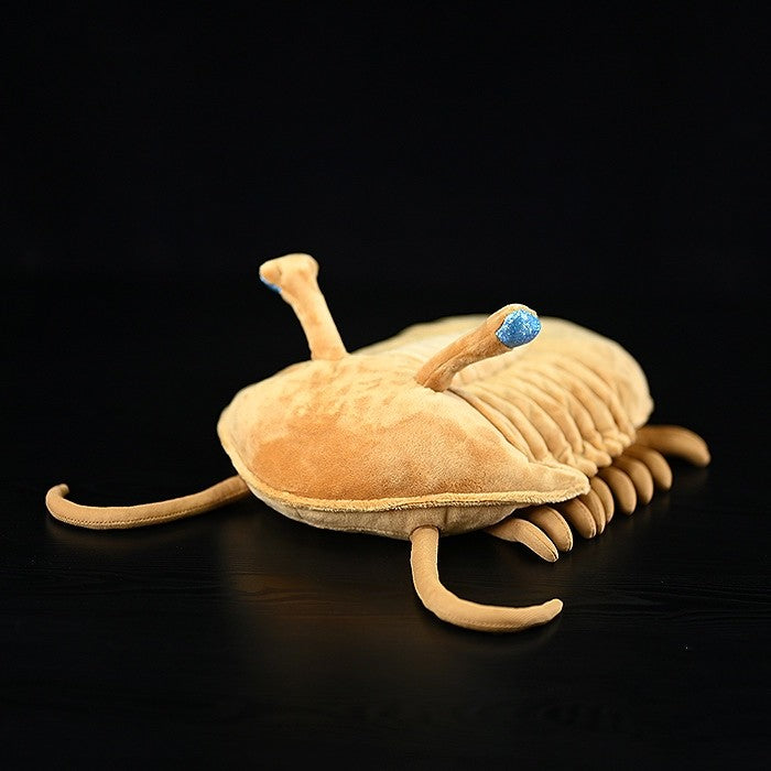 Paleontology Trilobite Plush Toy