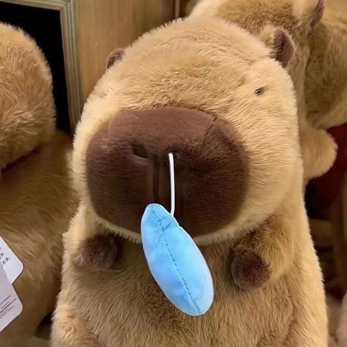 Capybara Snot Plush Toy