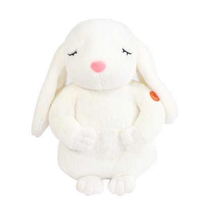 Kawaii Bunny Plush Doll