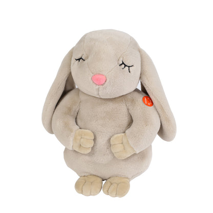 Adorable Rabbit Plush Doll