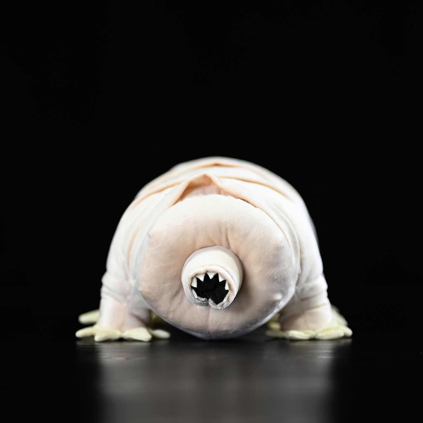Plush toy tardigrade on a black background