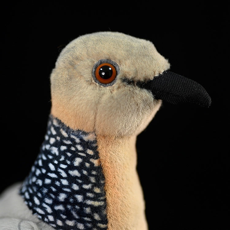 Detailed close-up of Spotted Dove plush toy.