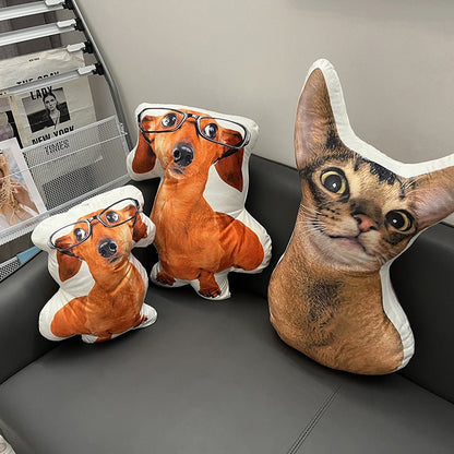 Custom cat photo cushion example