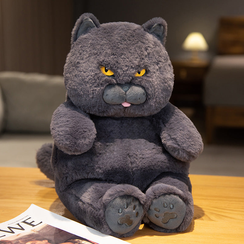 Milo the Perkie Cat Plush Toy