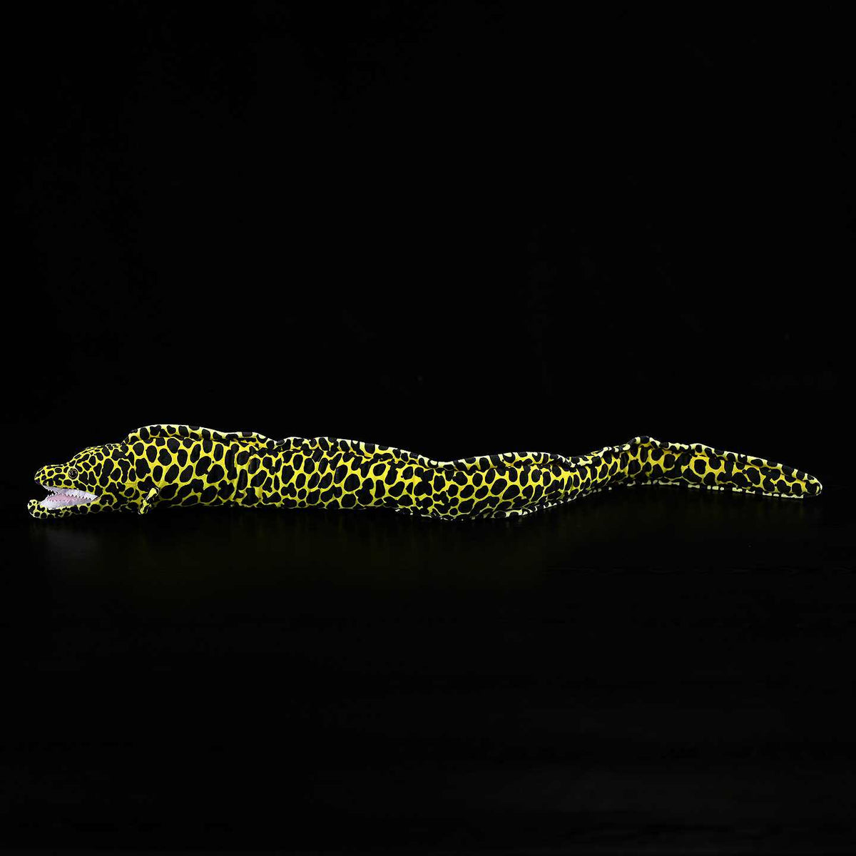 Honeycomb moray eel plush toy shown from the side