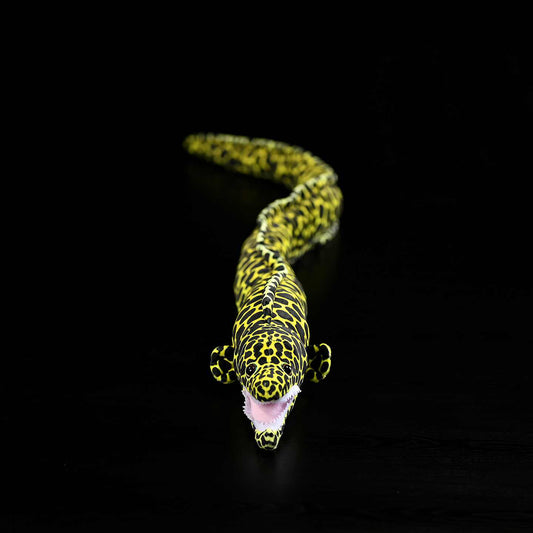 Honeycomb moray eel plush toy 100cm
