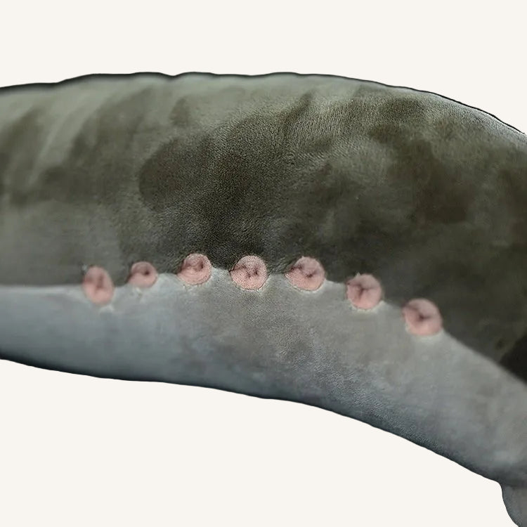Lamprey Eel Plush Toy