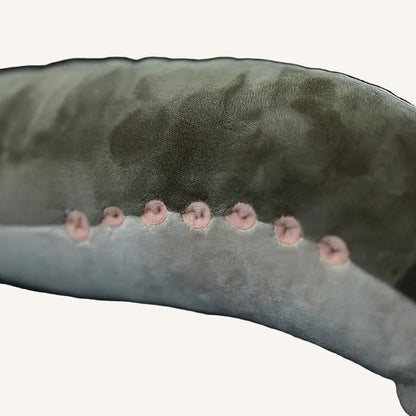 Lamprey Eel Plush Toy