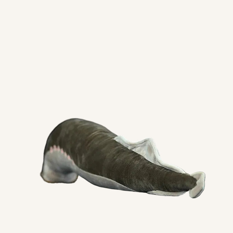 Lamprey Eel Plush Toy