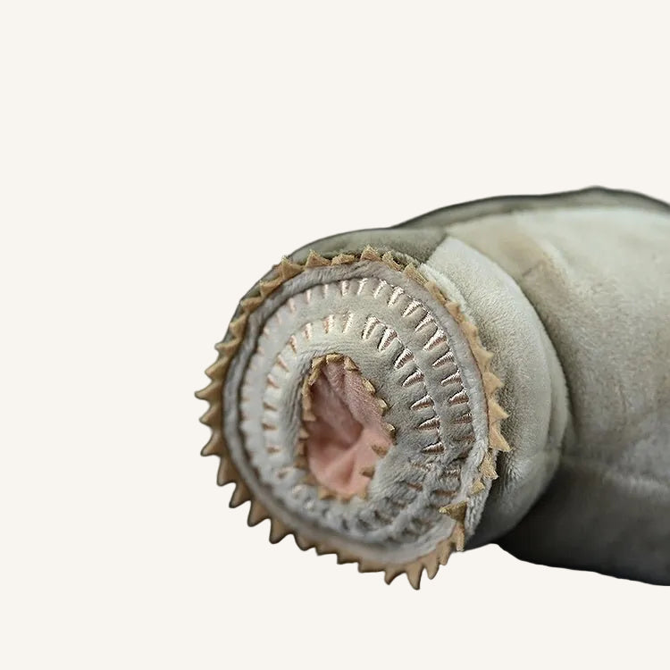 Lamprey Eel Plush Toy