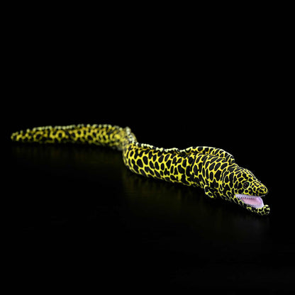 Marine animal moray eel plush toy with honeycomb pattern