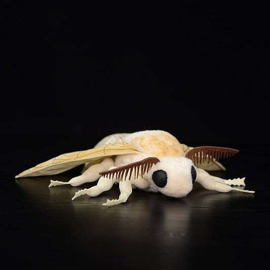 Moth Plush Toy