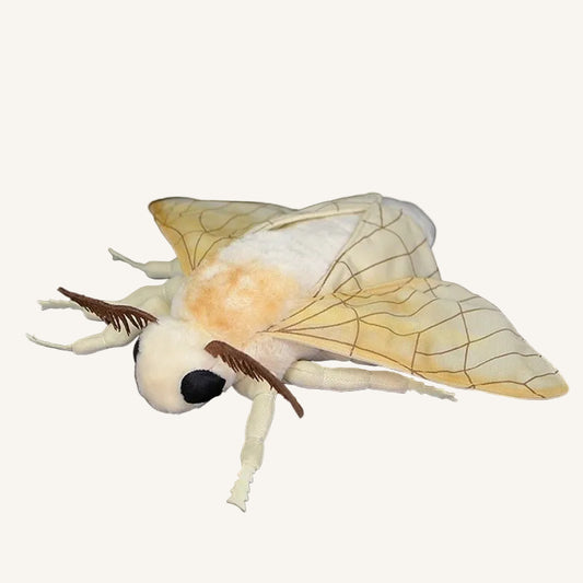 Moth Plush Toy