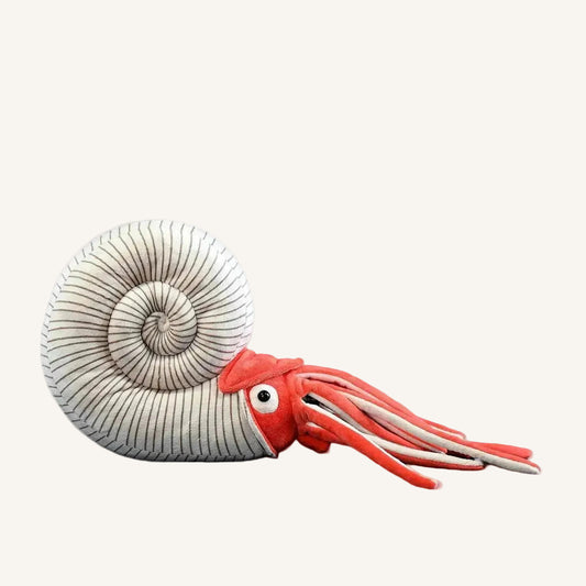 Perisphinctes ammonite plush toy with spiral shell and soft tentacles