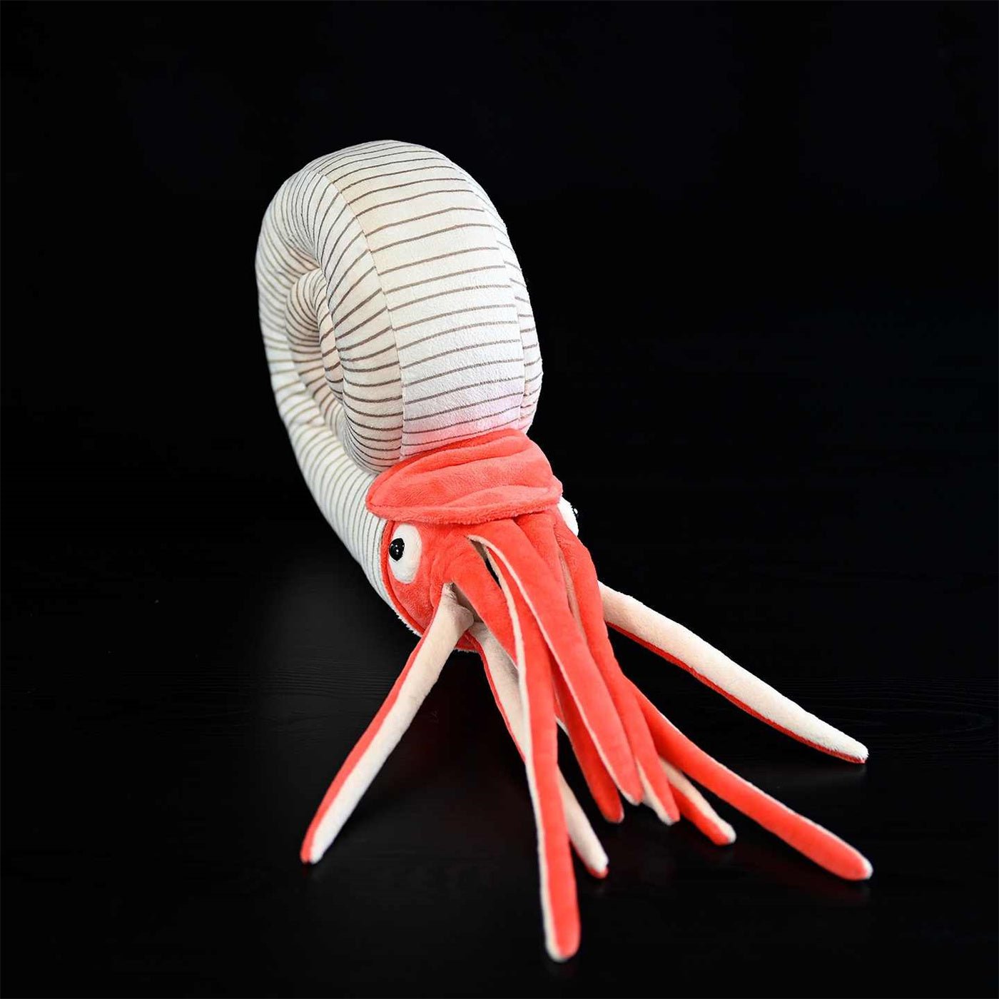 Ammonite plush toy gift for fossil fans and young learners