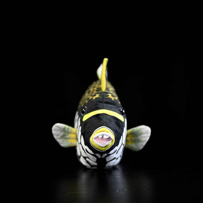 Realistic-style clown triggerfish plush with black white and yellow markings