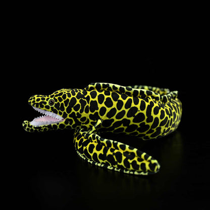 Realistic-style honeycomb moray eel plush with spotted markings