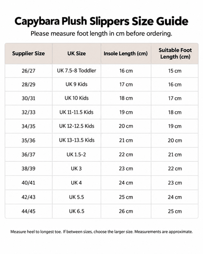 UK size guide for Squinty Capybara Plush Slippers