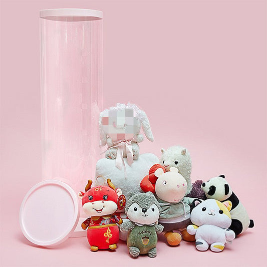 Transparent cylindrical plush toy storage container