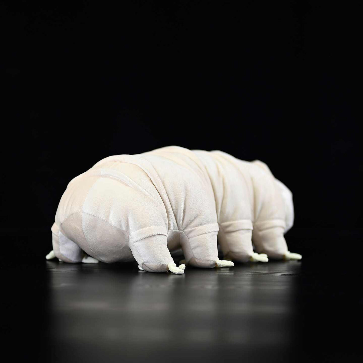 Water bear tardigrade plush toy on a black background